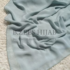 Chiffon Georgette_ Pistachio Green